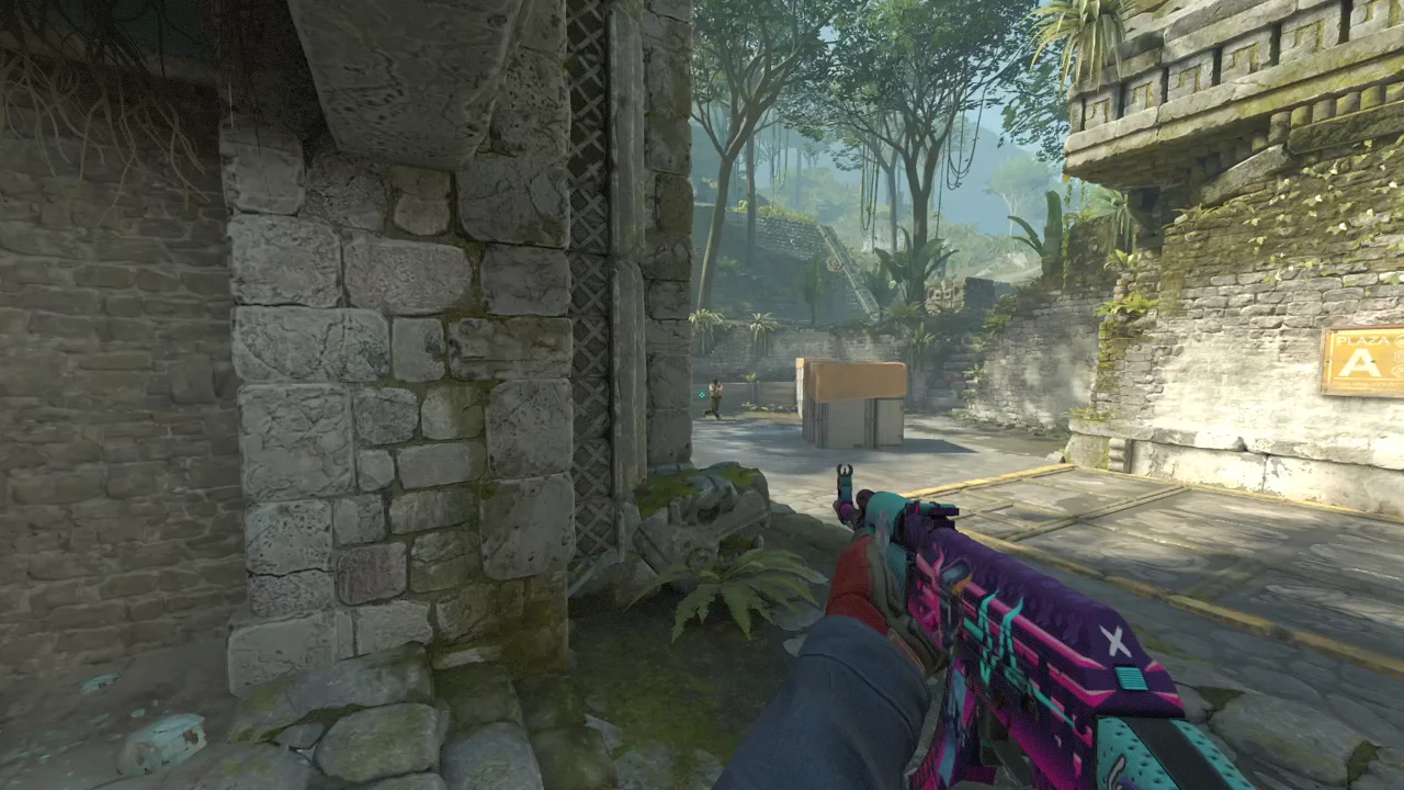highlight